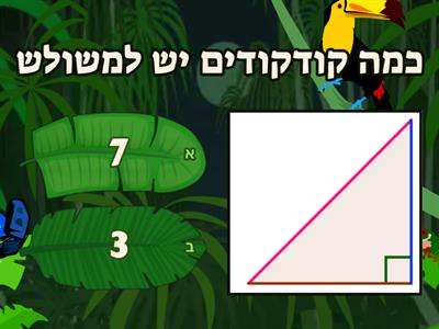 גאומטריה לכיתה ב 