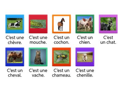 Je lis la phrase / Je trouve l'image