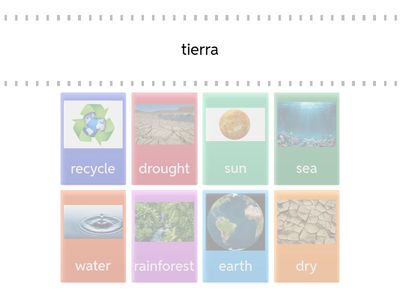 green issues vocabulary