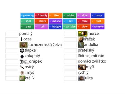 AJ 18.lekce 3.třída