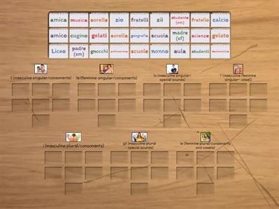 DEFINITE ARTICLES - L'ARTICOLO DETERMINATIVO  (THE)  