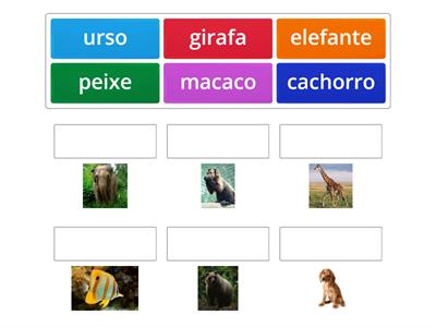 Ligue o nome do animal. 