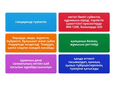 Мастурбацияға арналған шаңсорғыш
