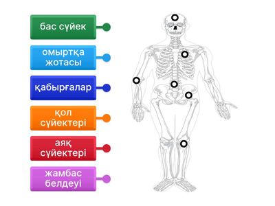 Күйеуіммен жаңа секс позициялары