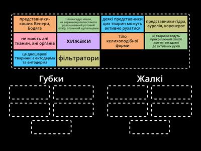 Губки, Жалкі, 7 клас
