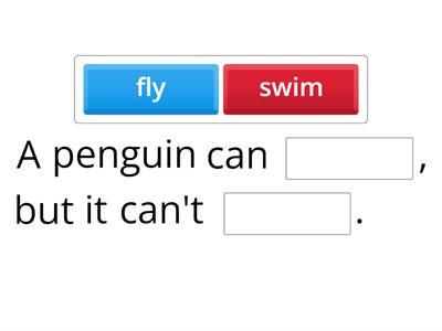 Project Explore Starter can - can´t 