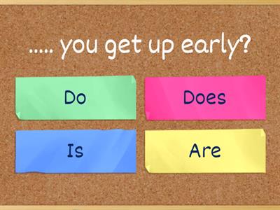 B02 Yes/No questions