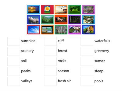 ACPB-I02-ForestBathing-Unit4