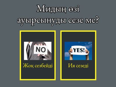 Анатомия бойынша сұрақ жауап 