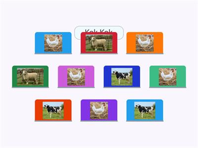 Haiwan Apa Bunyi Kok Kok?