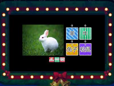 Words game about animals in Mandarin