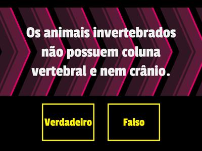 Animais Invertebrados