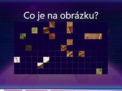 u,ú,ů
