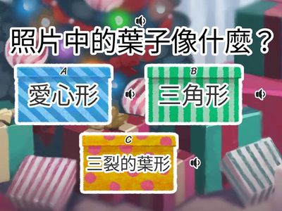 樹葉精靈_國小乙