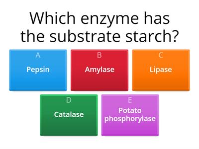 Quiz Enzyme specificity