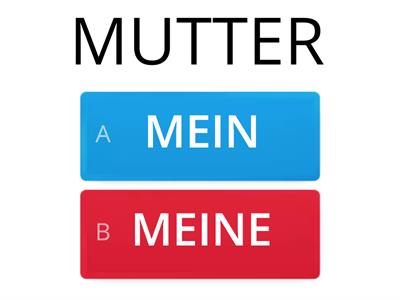  MEIN /MEINE