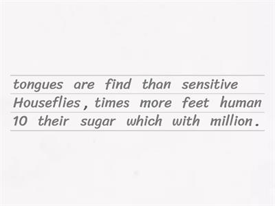 UnJumble:  Bug Facts