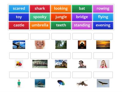 NBB3 U1L1 A summer pinboard - new words