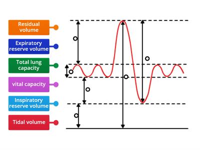 Spirometer trace