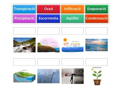 El cicle de l'aigua
