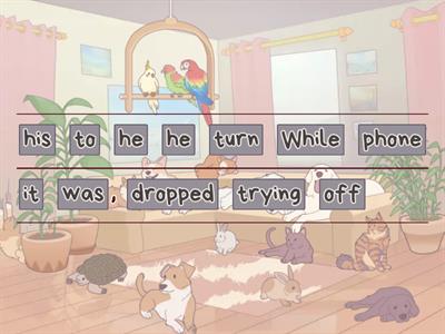 Past continuous: while and when