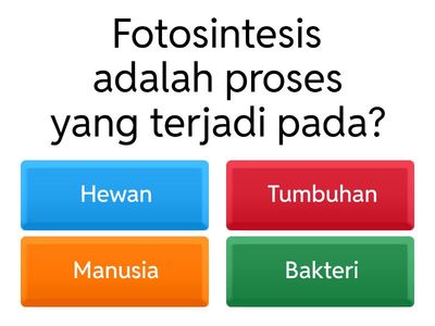 Kuis Fotosintesis