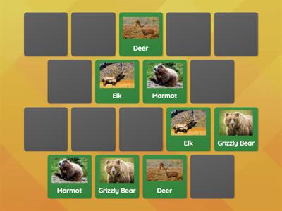 Alberta Rocky Mountain Match