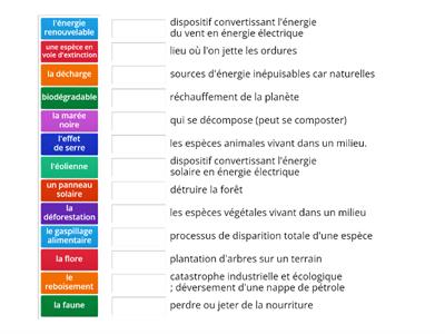 Activité de vocabulaire