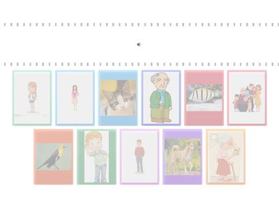  Smart junior 1 FAMILY