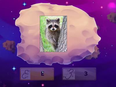 Е/З каллиграфия