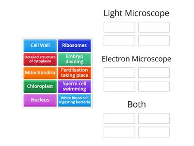Light vs. Electron Microscope