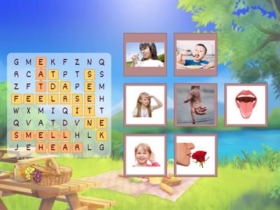 WOW 8- Vocabulary: senses