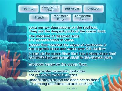 Ocean Floor Vocabulary