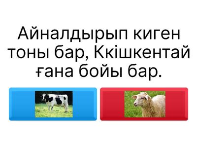 төрт түлік жұмбақ