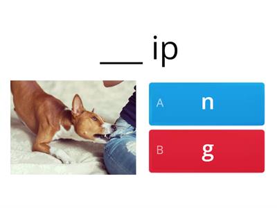 Barton 2.2 What is the missing letter?