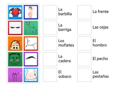 Las partes del cuerpo 1