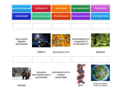 Встановлення відповідності з теми ВСТУП до біології (частина 1)