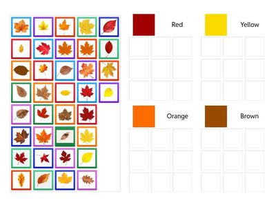 Leaf Sorting By Color