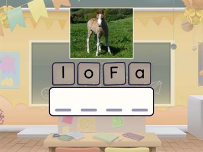 Long /o/ Word Unjumble