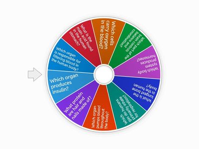 3a parts of the body