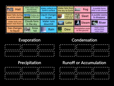 Water Cycle Sort