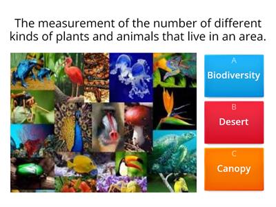 Biodiversity 