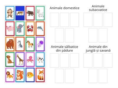 Evaluare ”Animale”