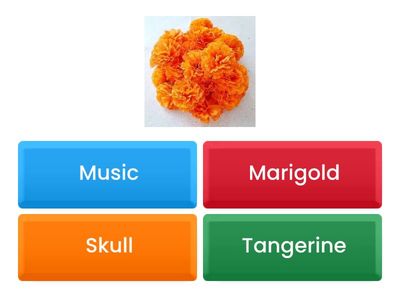 Vocabulary / Instrucciones:  Escoge la respuesta correcta de acuerdo a la imagen. 