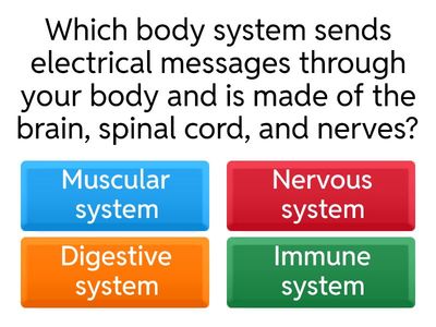 Body Systems Quiz