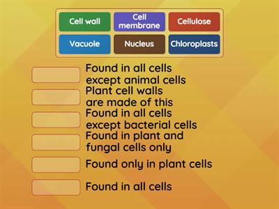 1.1 Braes S3 BGE Cell Structures and Cell Types