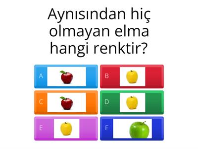 anasınıfı