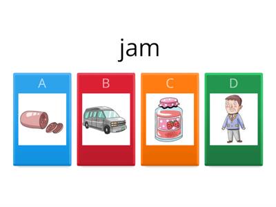 Phonics Catch B  Unit 1   short vowel a  cvc  -am  -an  -ap