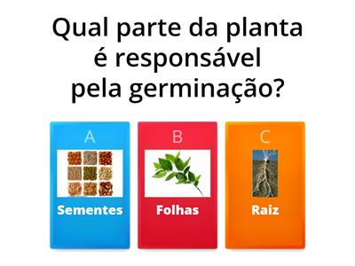  QUIZ PARTES DAS PLANTAS