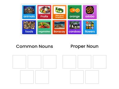 PROPER AND COMMON NOUN